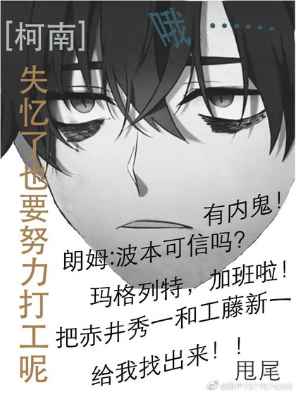 （名侦探柯南同人）[柯南]失忆了也要努力打工呢
